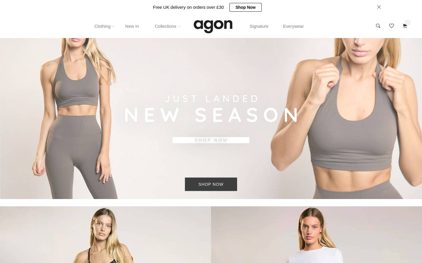 agon-uk.com homepage screenshot