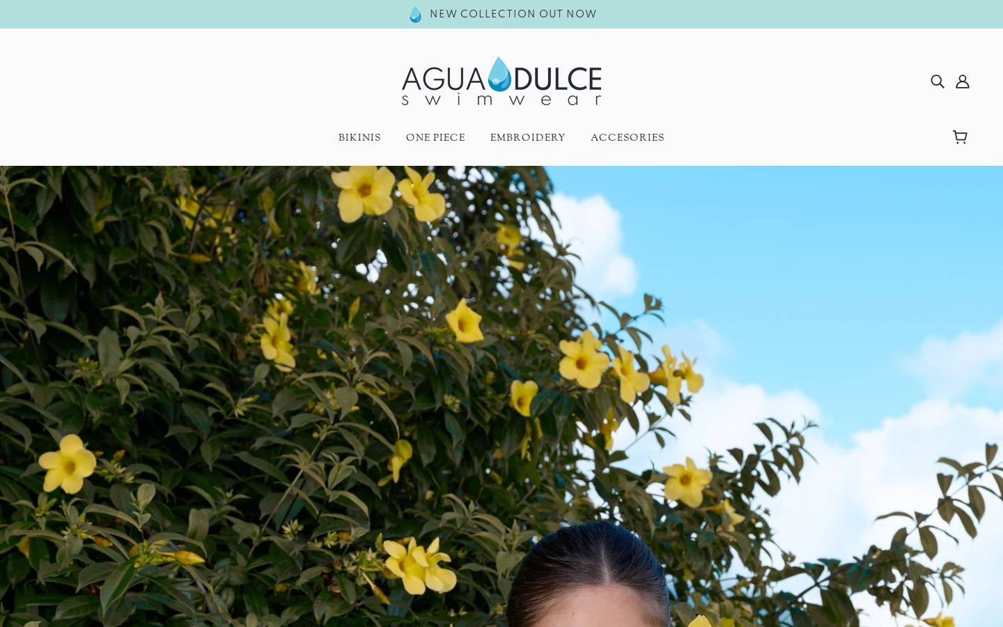 aguadulceswimwear.com homepage screenshot