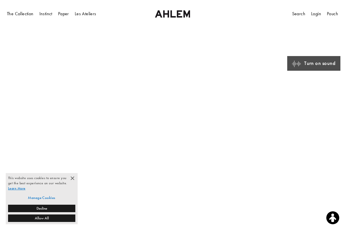 AHLEM homepage screenshot