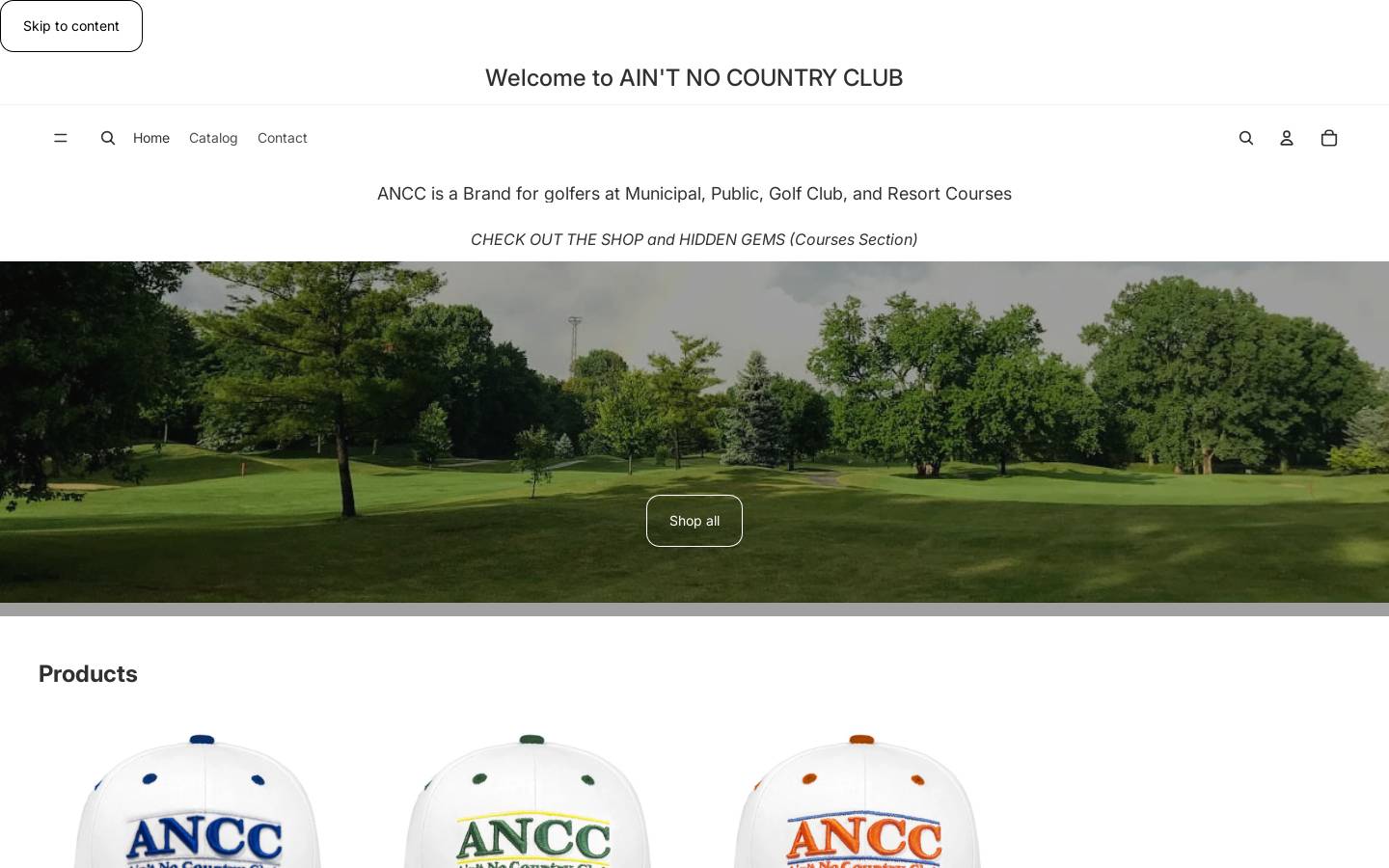 aintno.co homepage screenshot