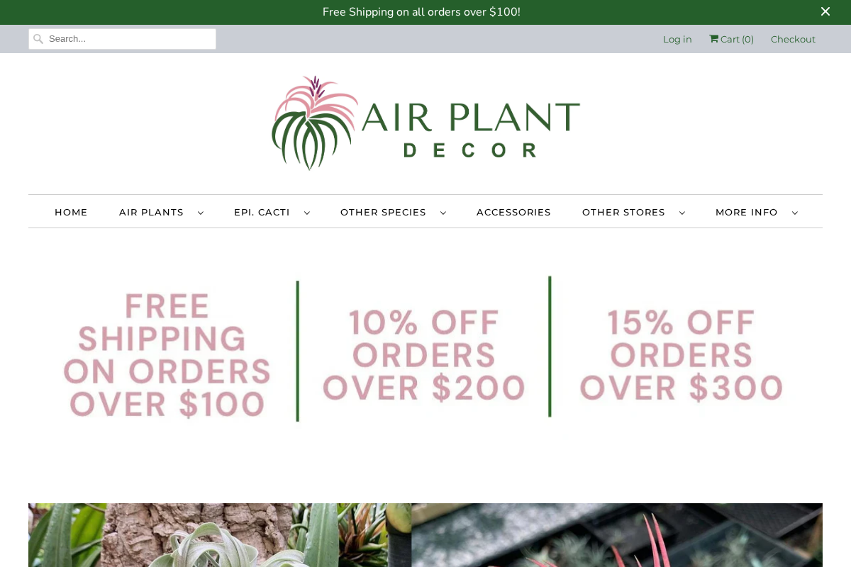 Air Plant Decor homepage screenshot