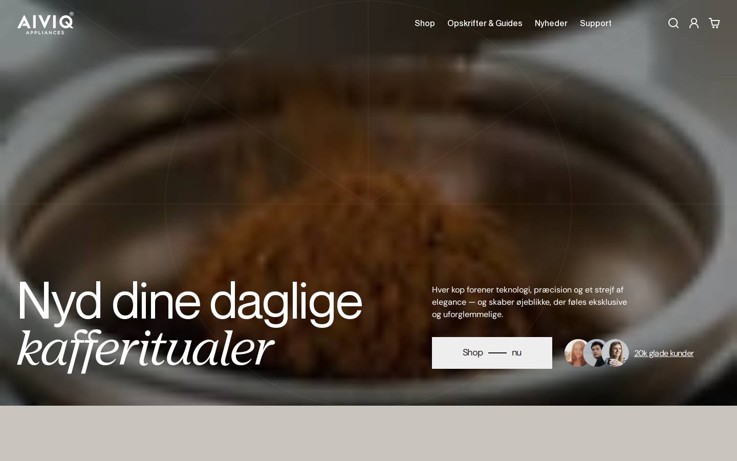 Aiviq.dk homepage screenshot