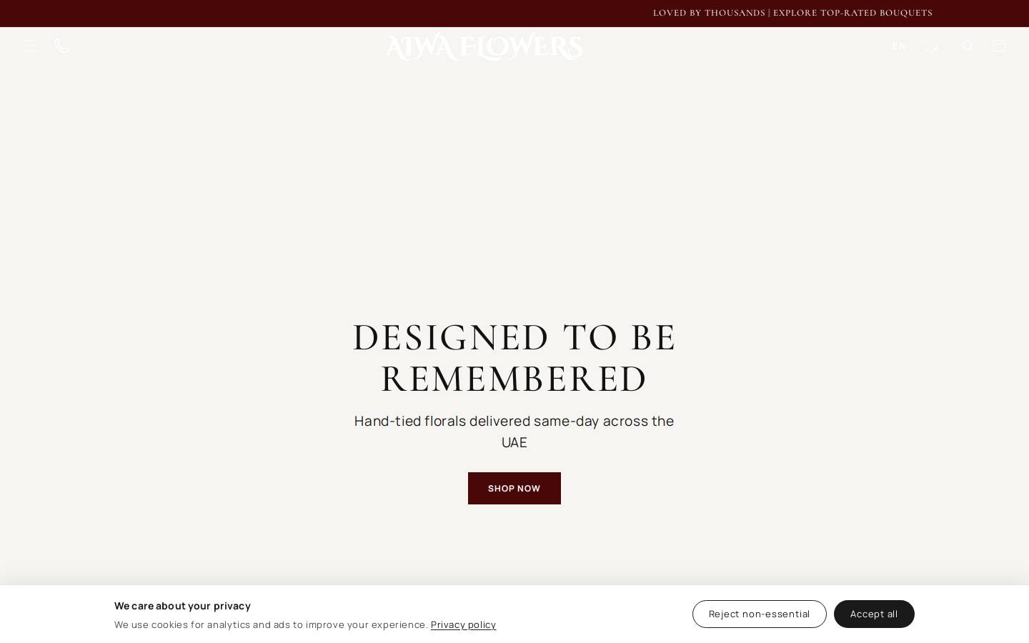 Aiwa Box homepage screenshot