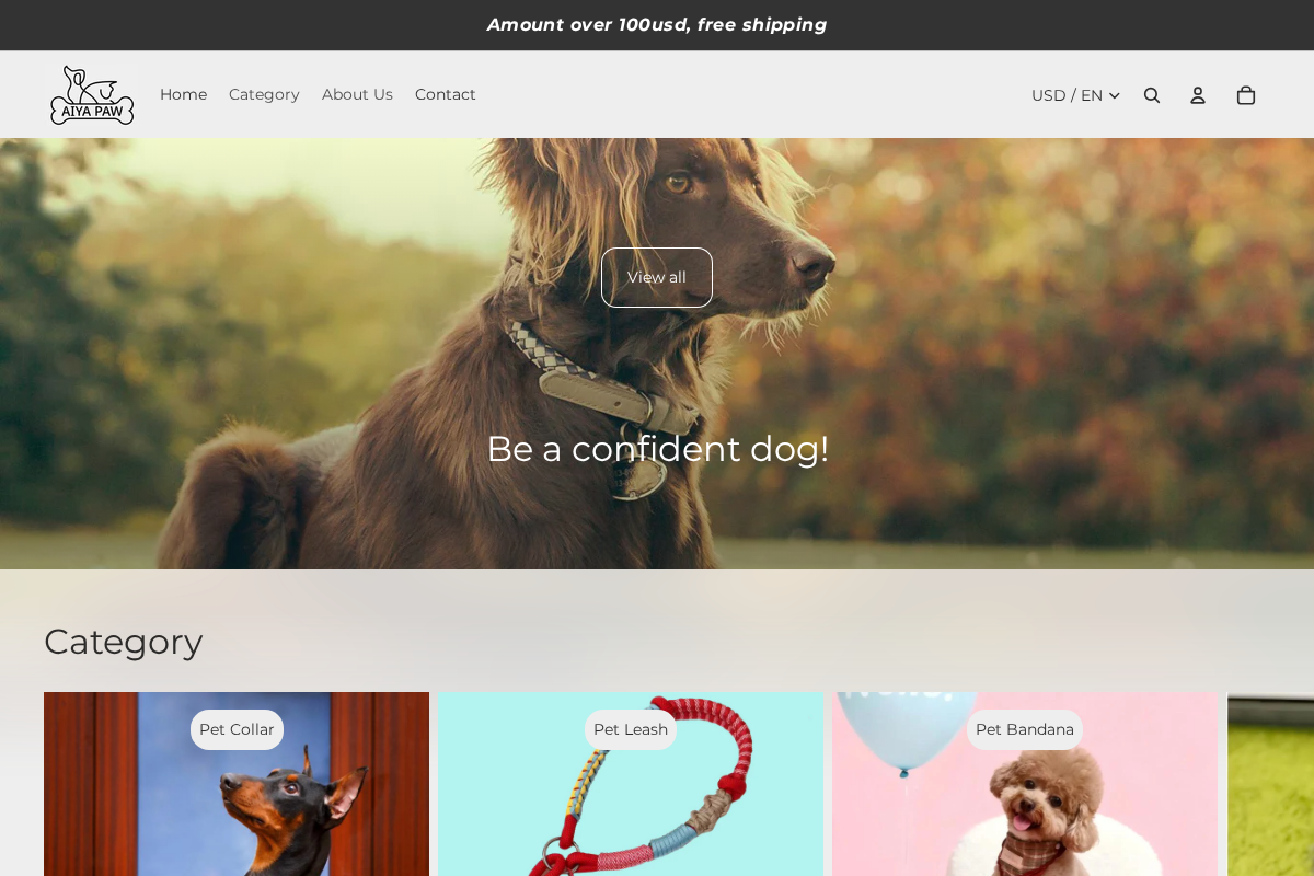 AIYA PAW homepage screenshot