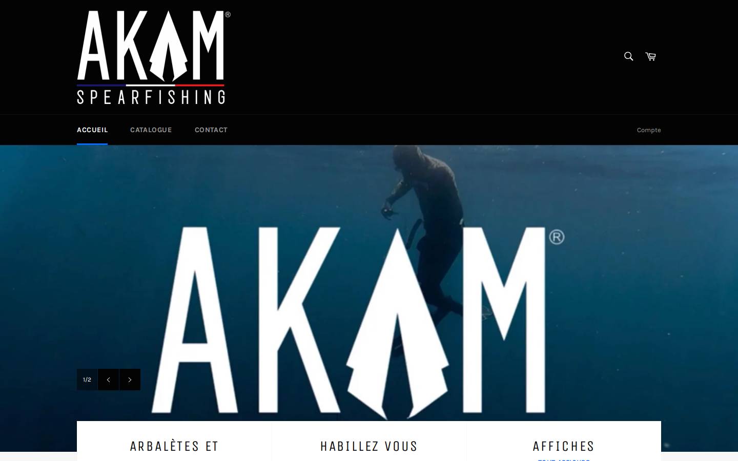 Akam homepage screenshot