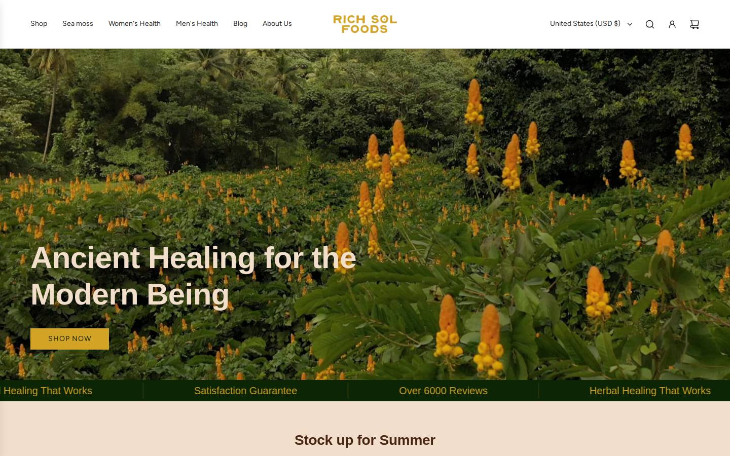 akeempierre.com homepage screenshot