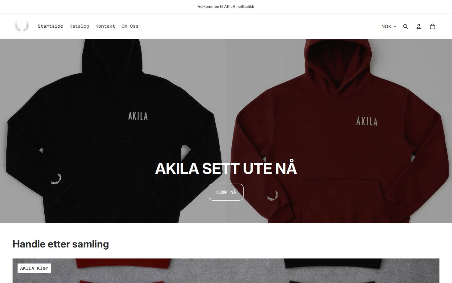 akila.no homepage screenshot