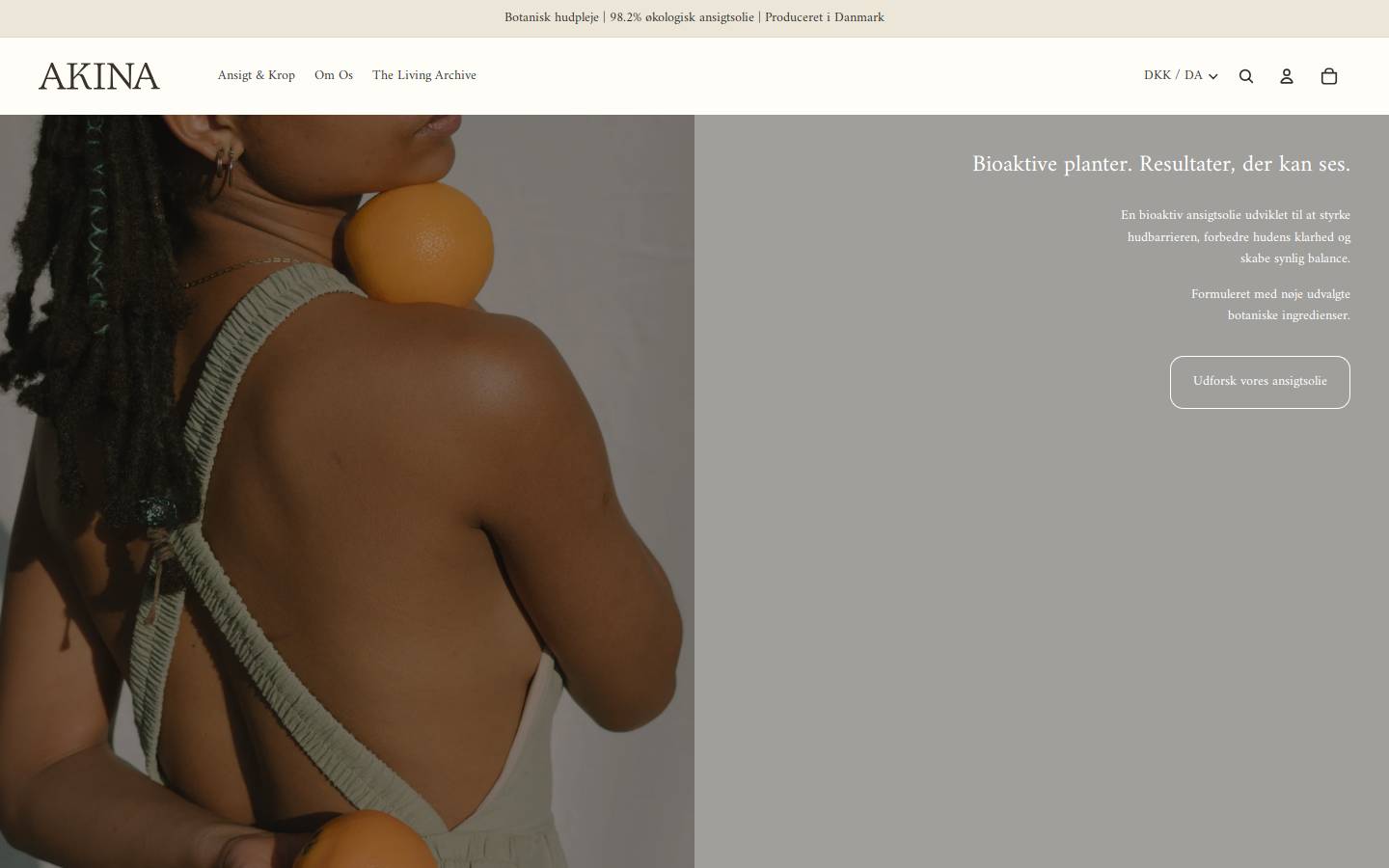 akina.dk homepage screenshot