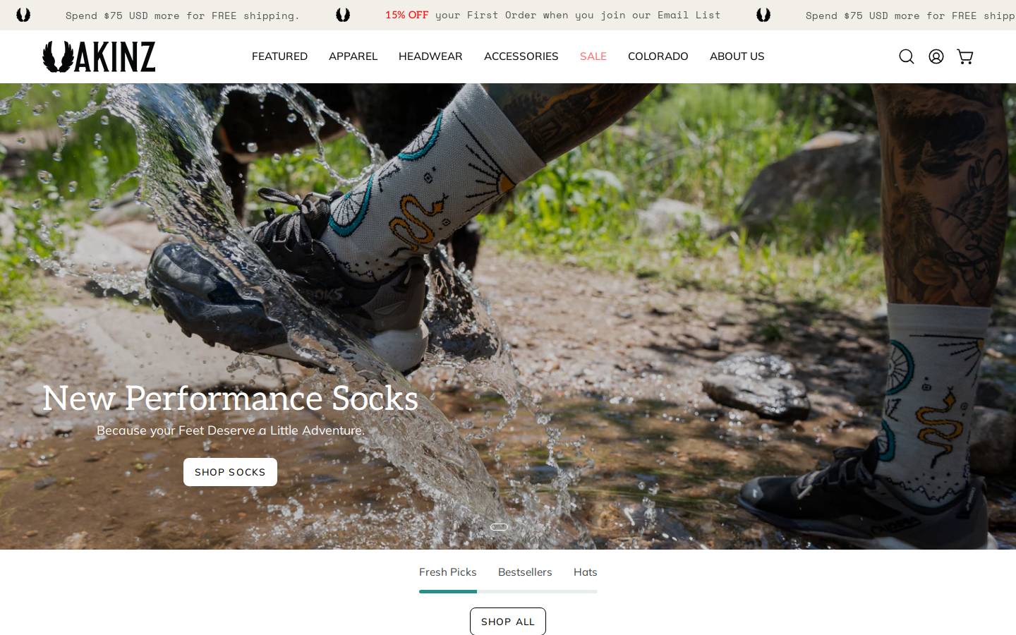 Akinz homepage screenshot