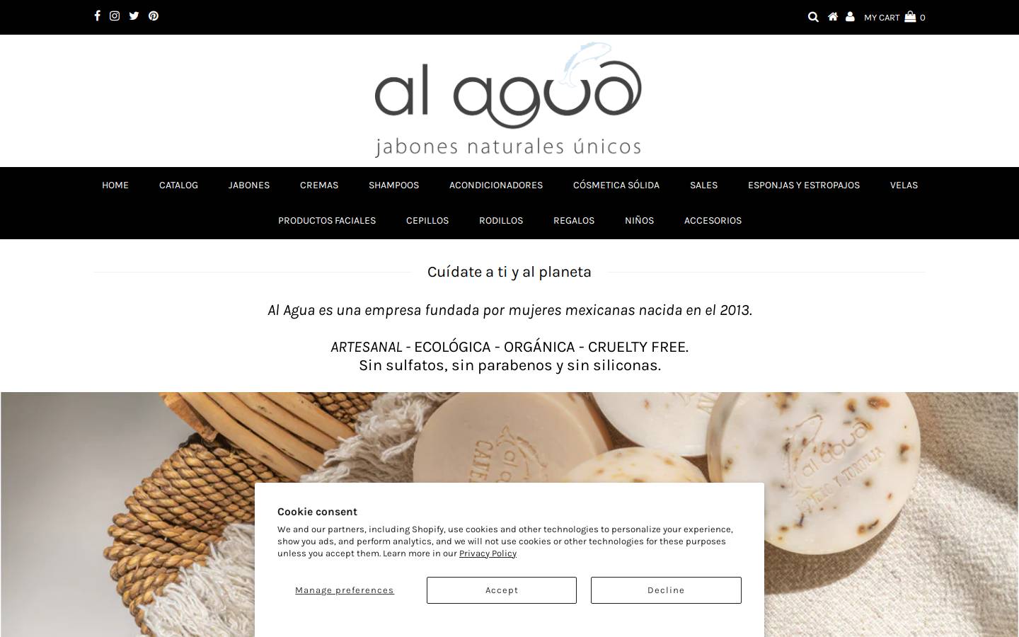 alagua.com.mx homepage screenshot
