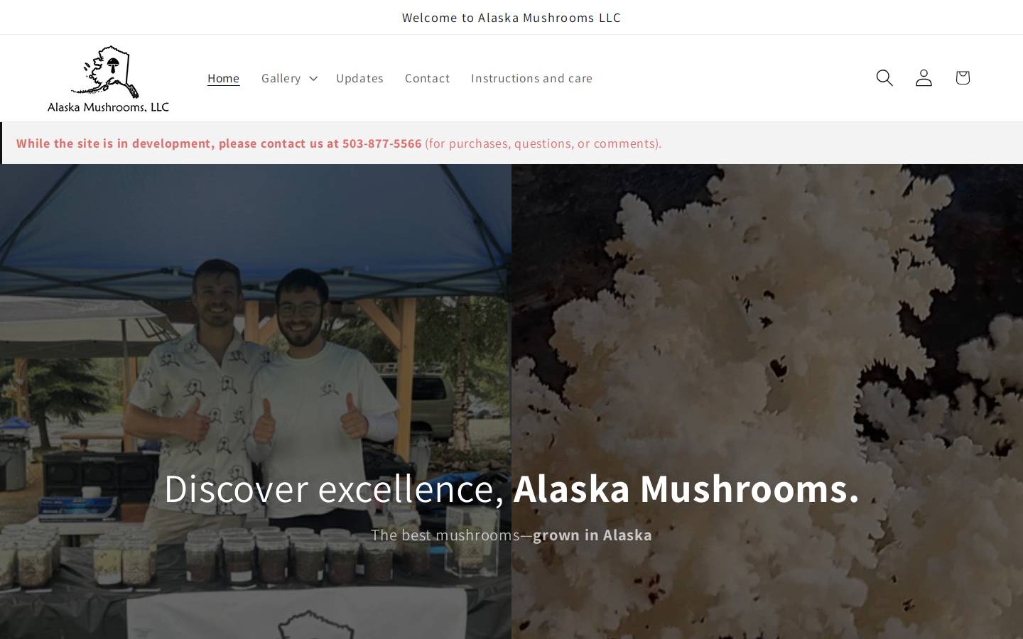 alaska-mushrooms.com homepage screenshot