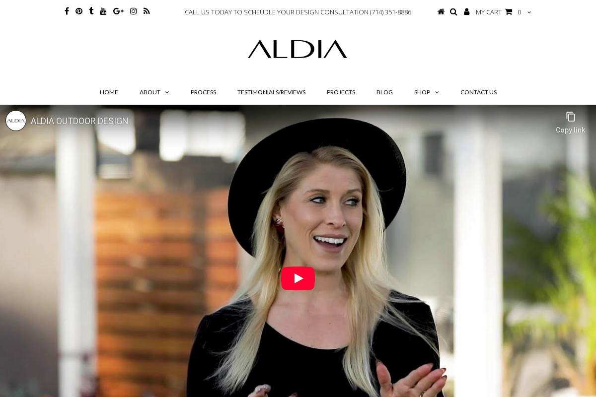 aldiadesign.com homepage screenshot