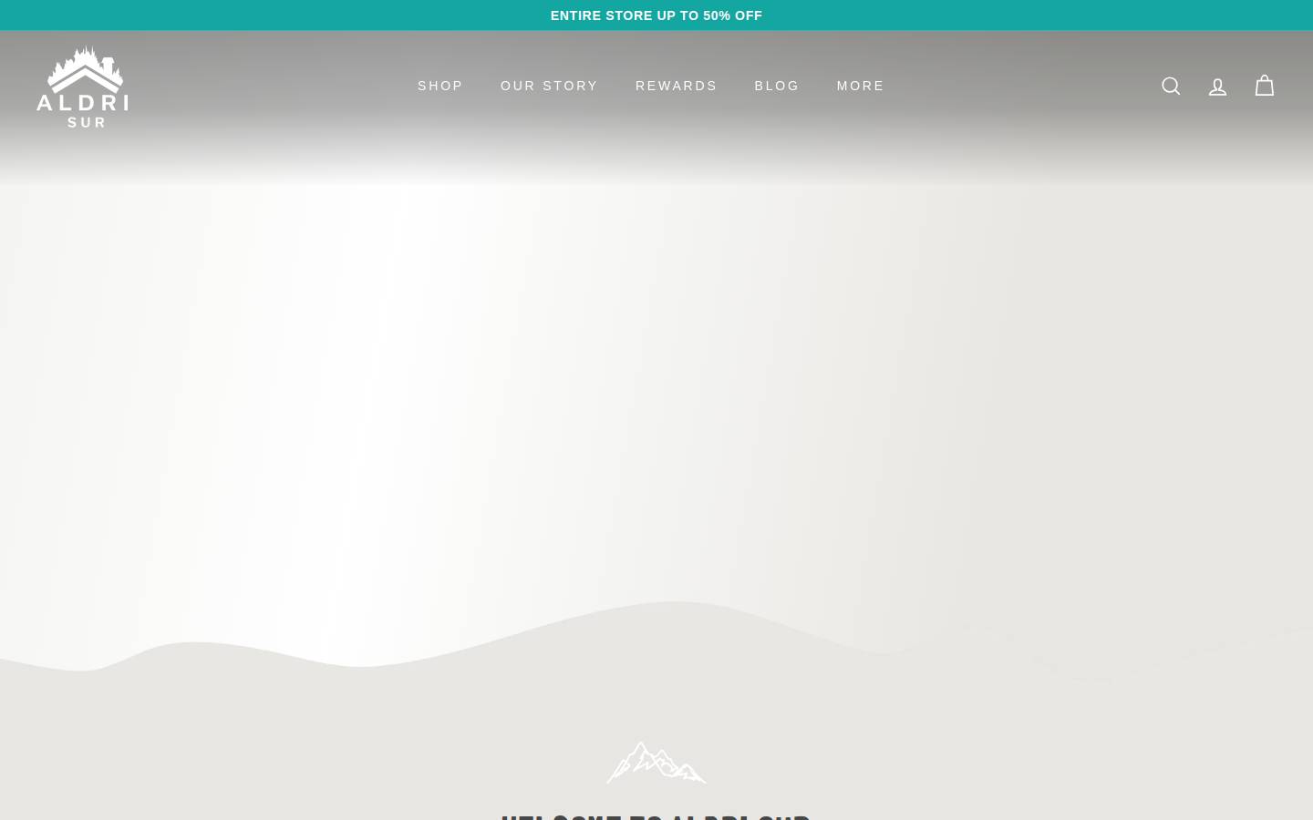 aldrisur.com homepage screenshot