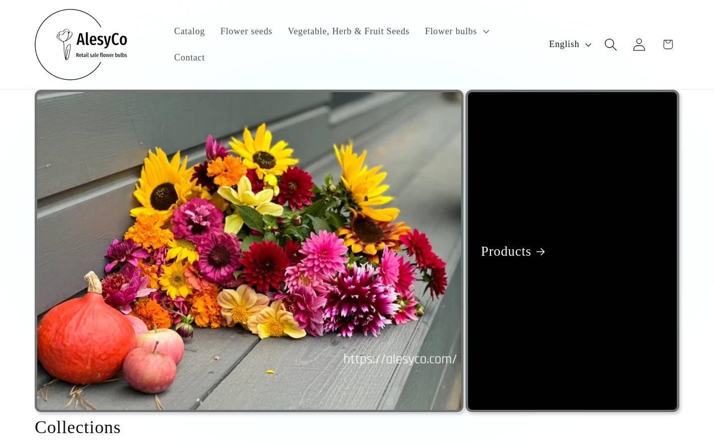 alesyco.com homepage screenshot