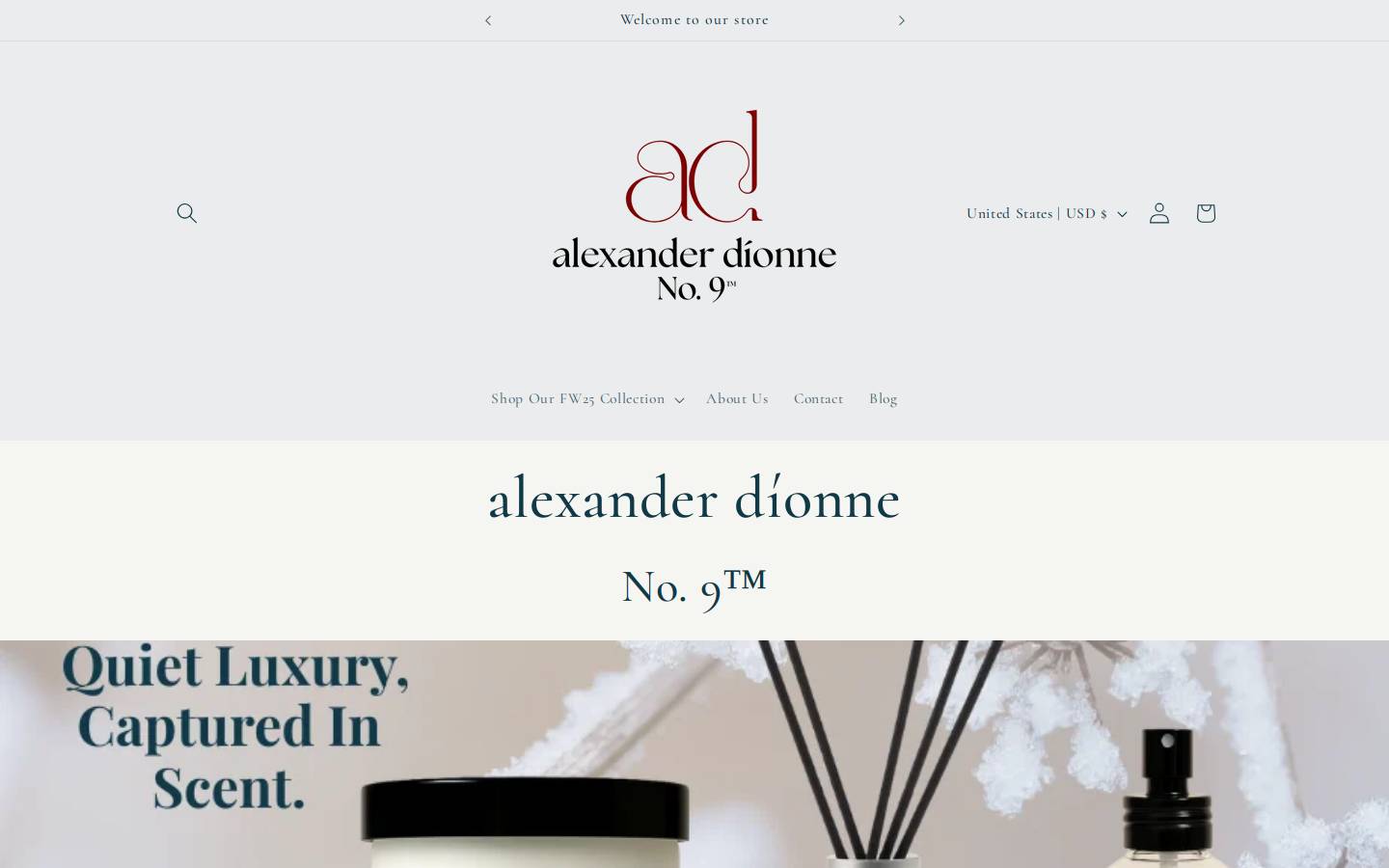 alexanderdionne.com homepage screenshot