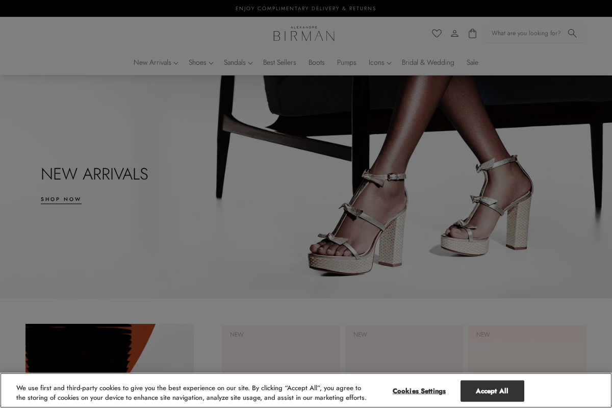 Alexandrebirman homepage screenshot