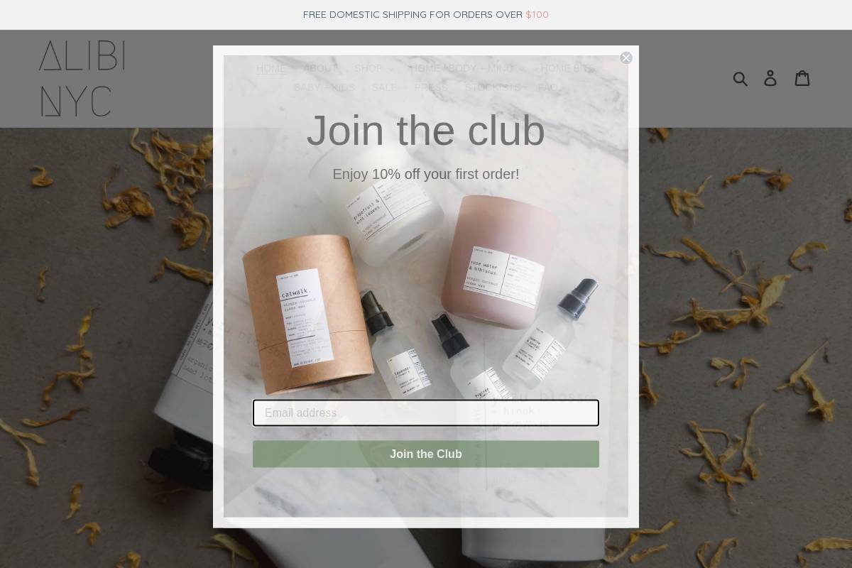 alibinyc.com homepage screenshot
