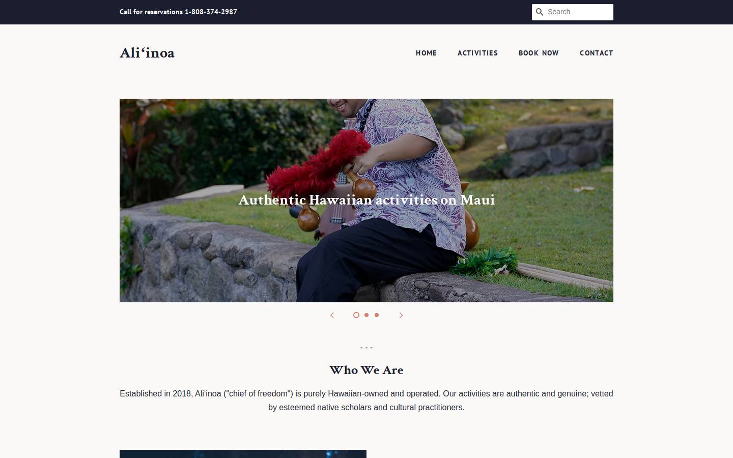 aliinoa.com homepage screenshot