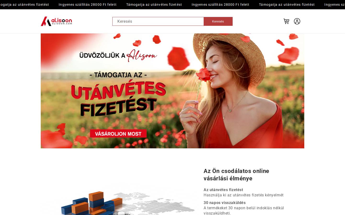 Alisoon homepage screenshot