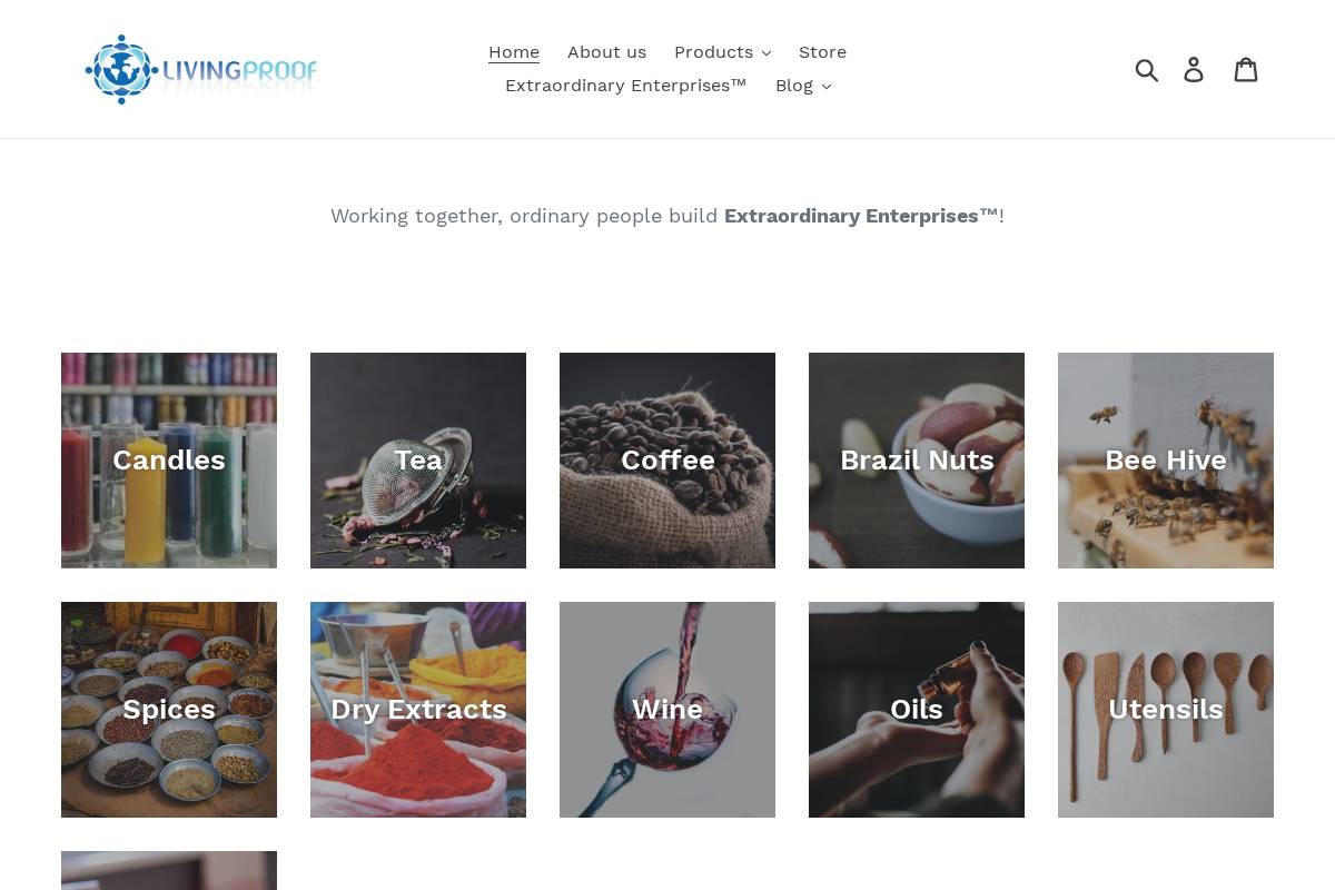 alivingproof.com homepage screenshot