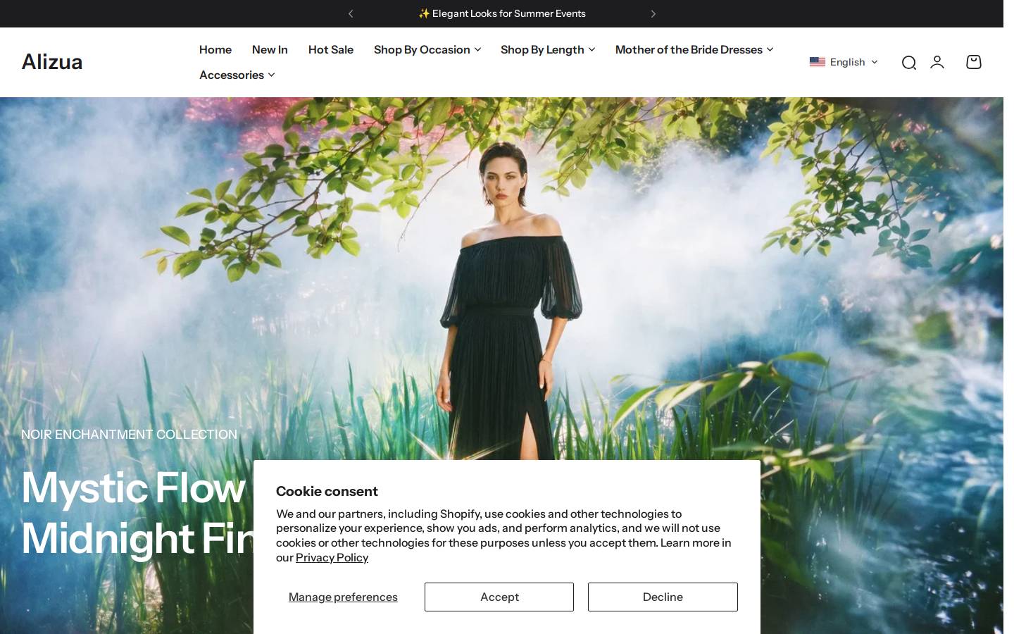Alizua homepage screenshot