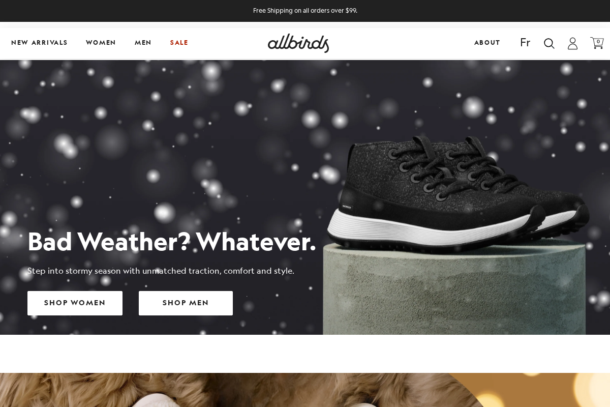 Allbirds homepage screenshot