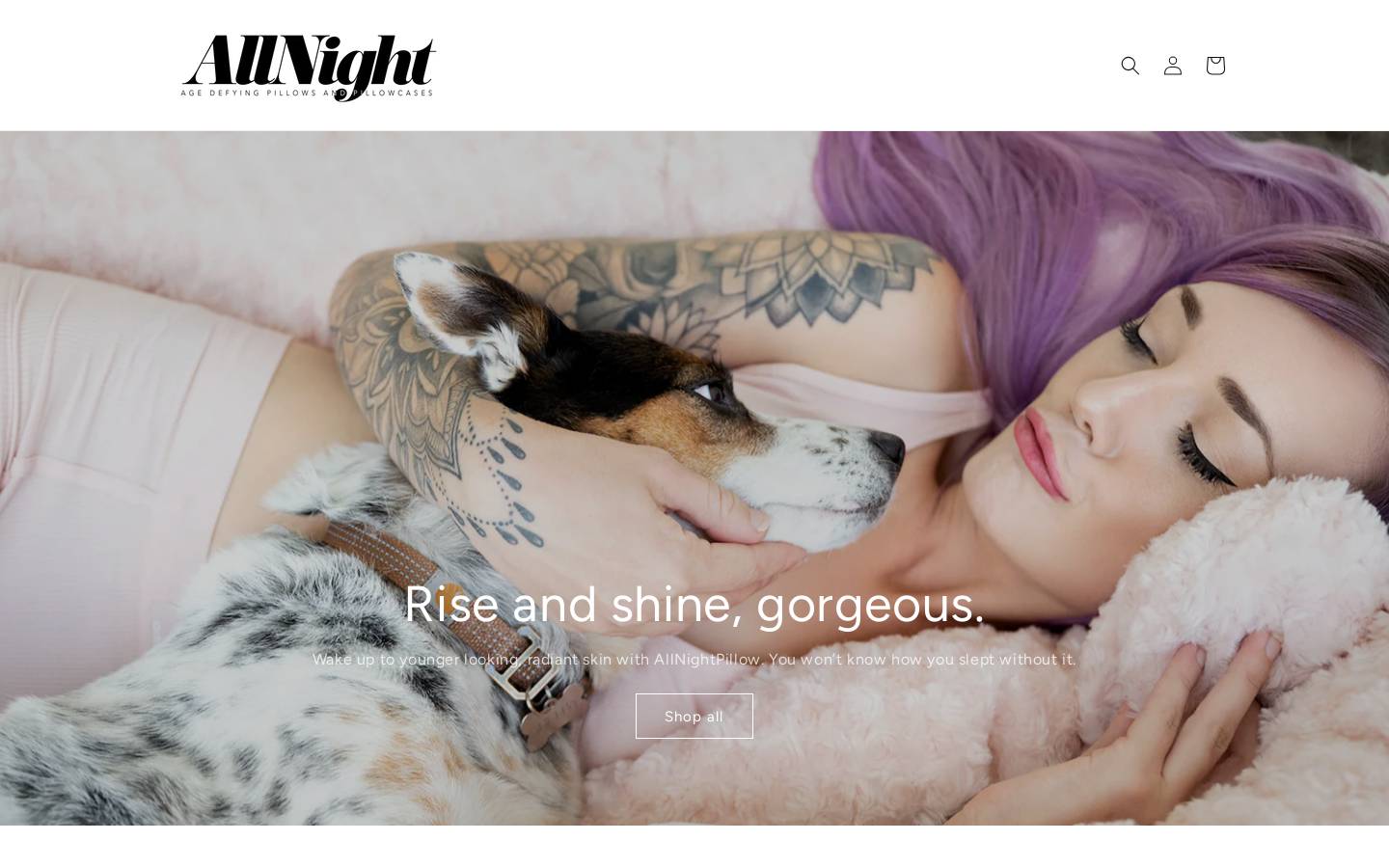 allnightpillow.com homepage screenshot