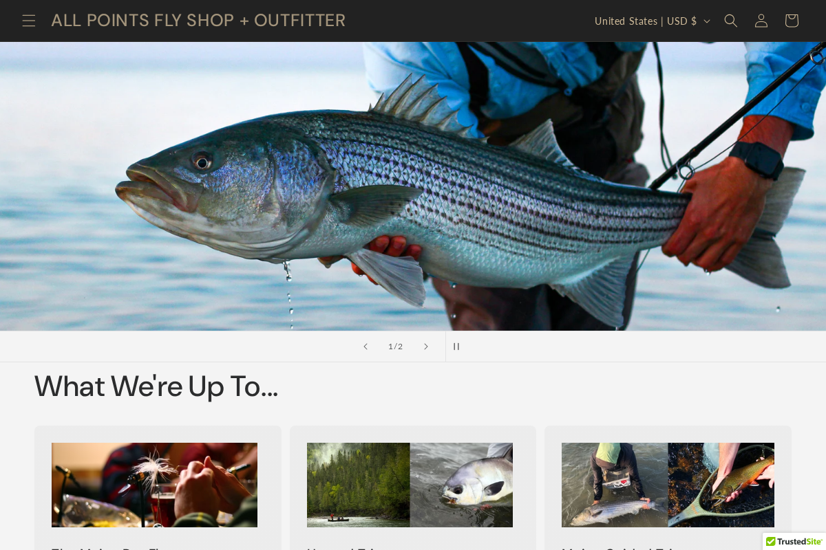 allpointsflyfishing.com homepage screenshot