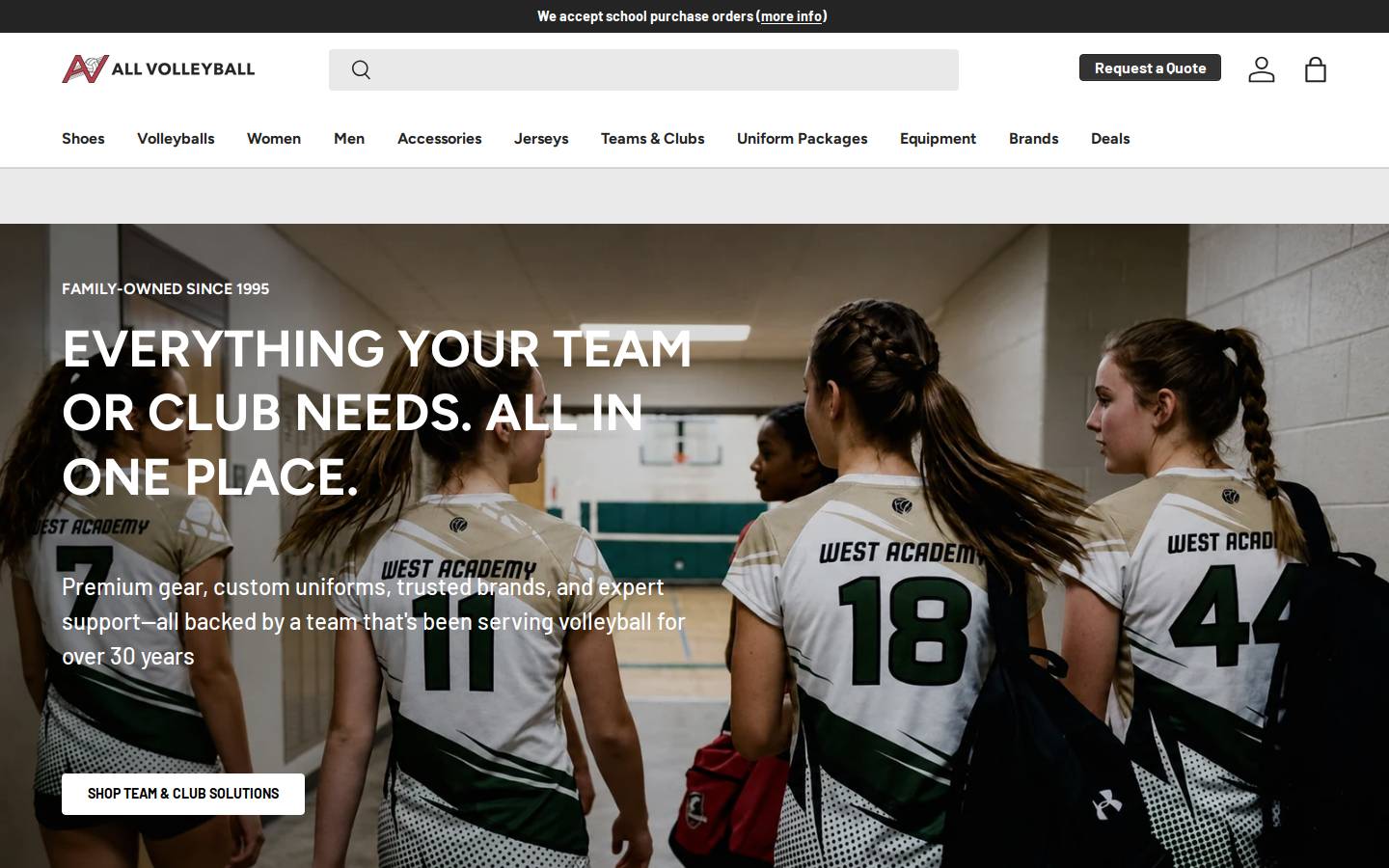All Volleyball homepage screenshot