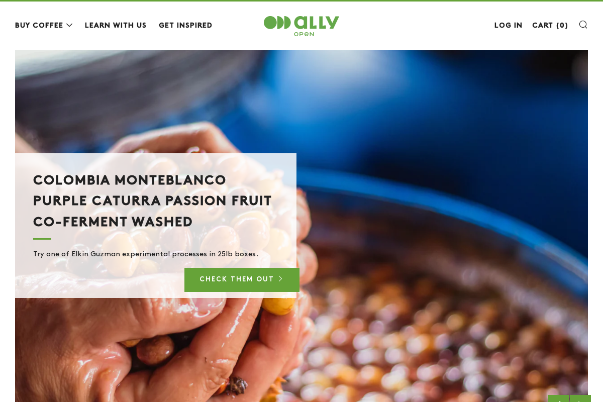 Ally Open homepage screenshot