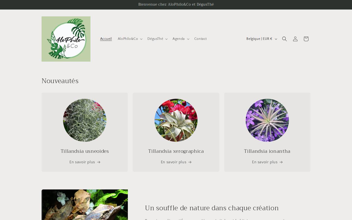 alophilo.com homepage screenshot