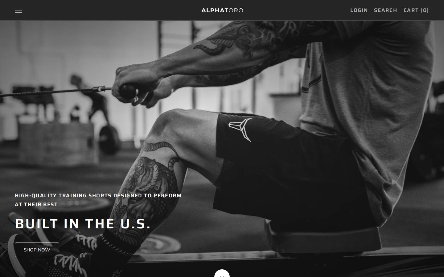 alpha-toro.com homepage screenshot