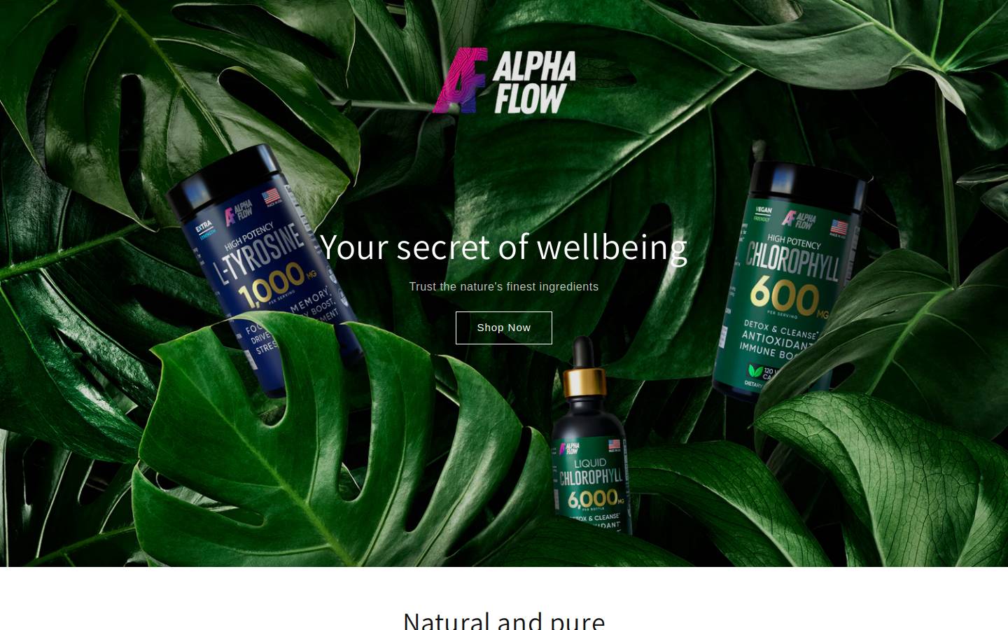 AlphaFlow homepage screenshot