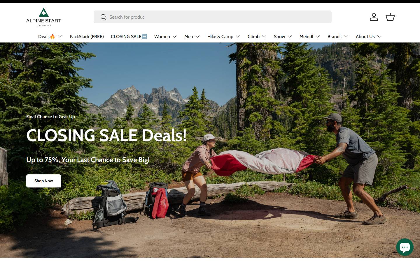 Alpinestart homepage screenshot