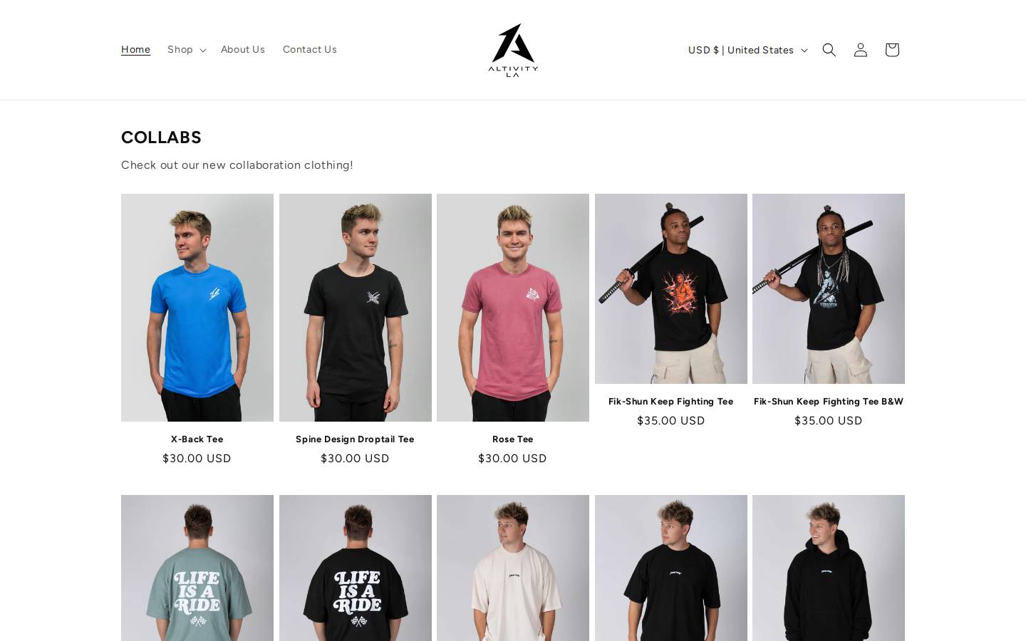 altivityla.com homepage screenshot