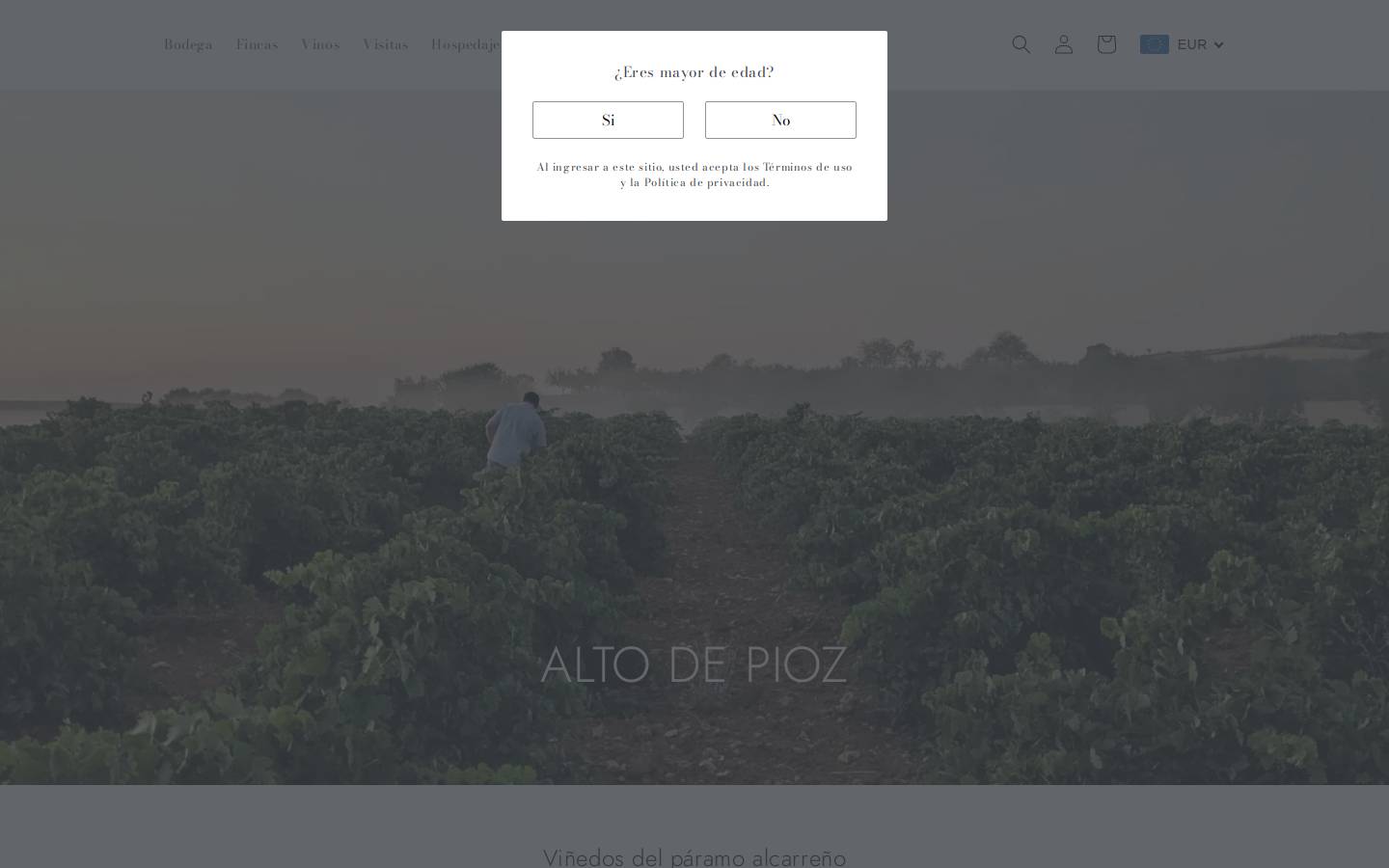 altodepioz.com homepage screenshot
