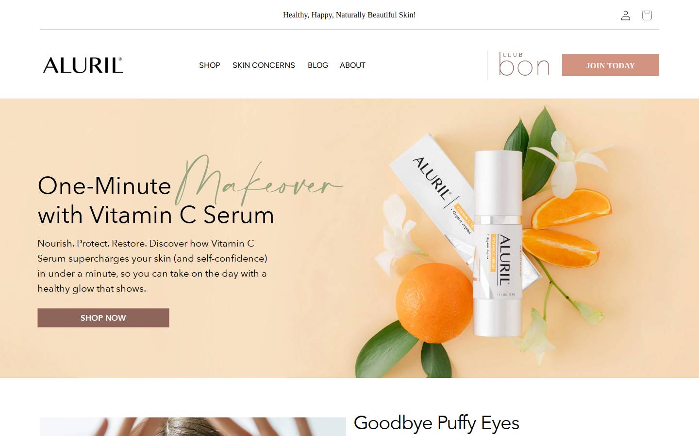 aluril.com homepage screenshot