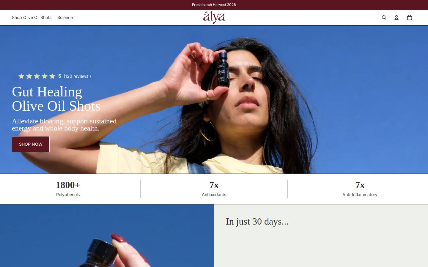 alyahealth.com homepage screenshot