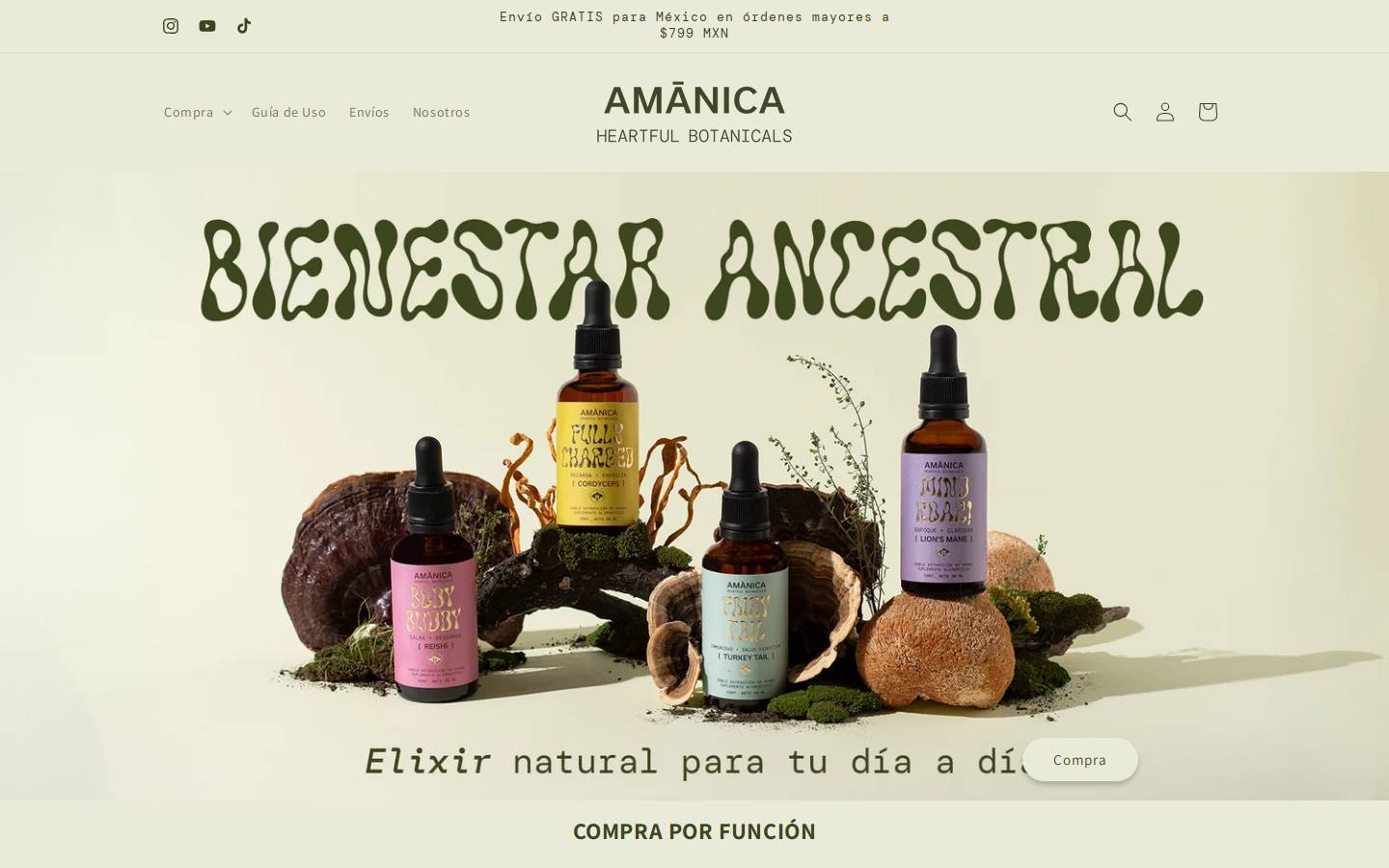 amanica.mx homepage screenshot