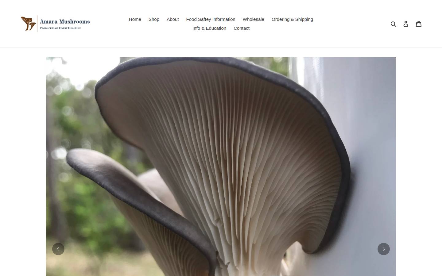 amaramushrooms.com homepage screenshot
