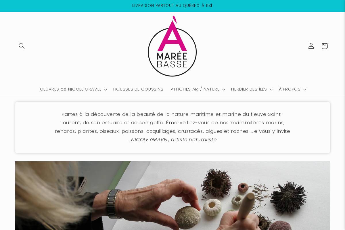 amareebasse.com homepage screenshot