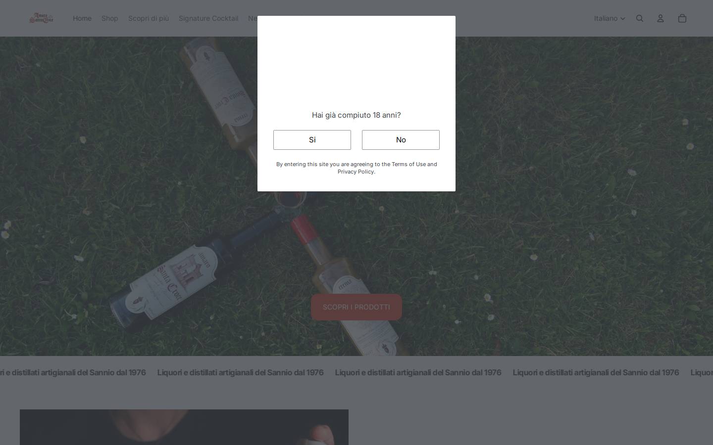 amarosantacroce.it homepage screenshot