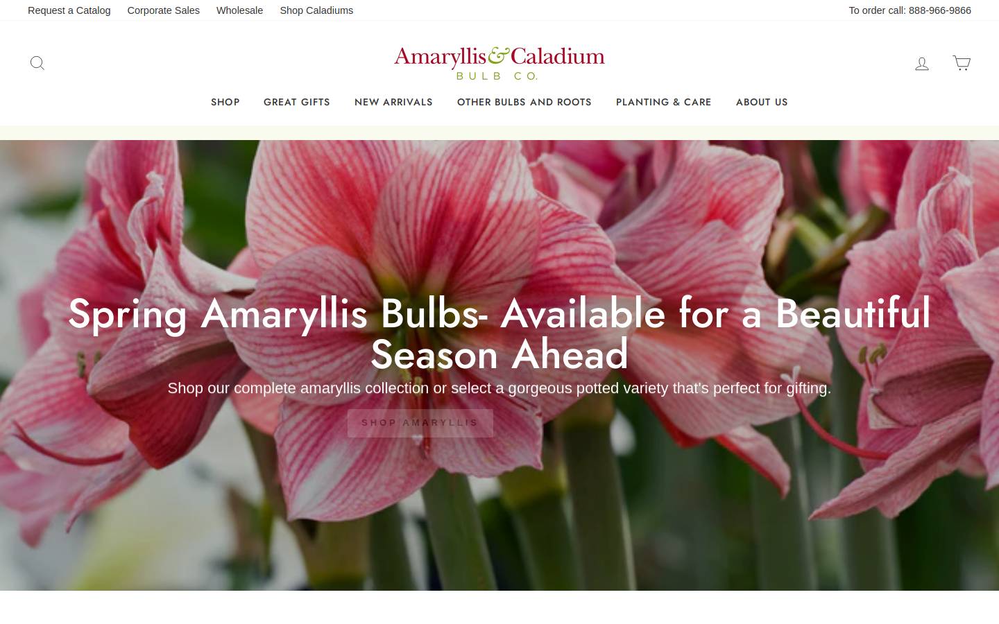 Amaryllis Bulb Company homepage screenshot
