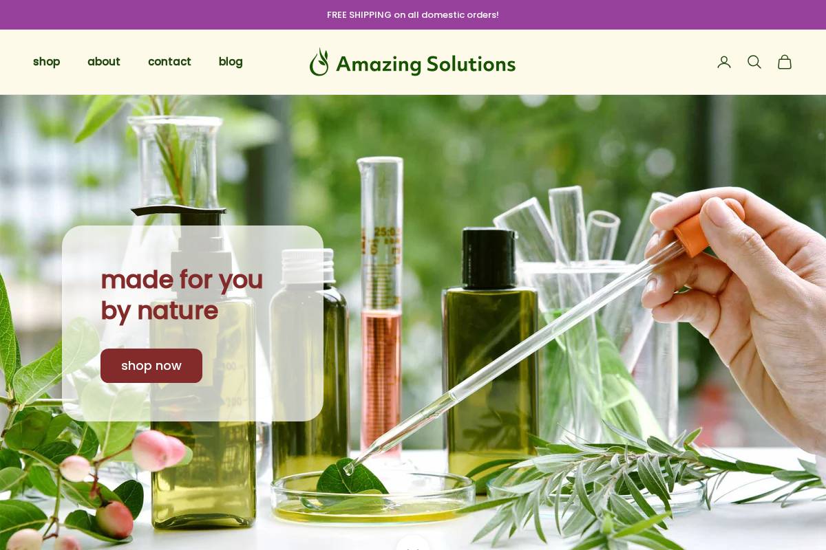 Premiere Enterprises homepage screenshot