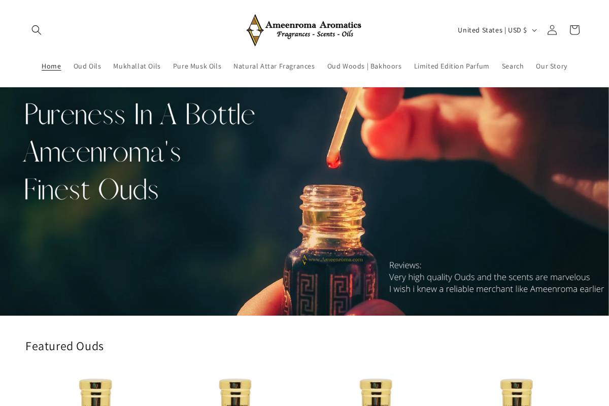 ameenroma.com homepage screenshot