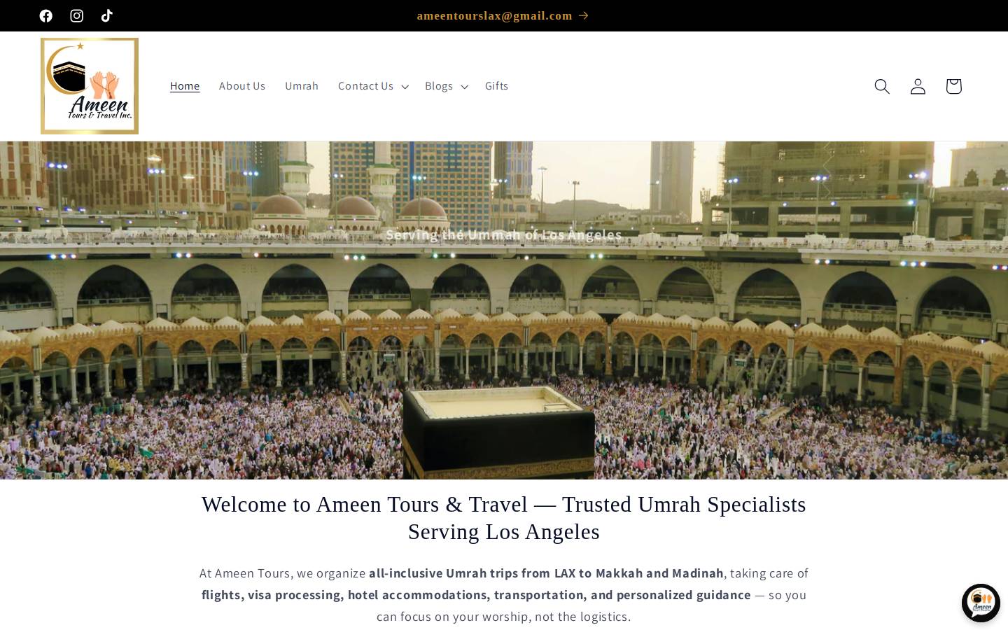 ameentoursandtravel.com homepage screenshot