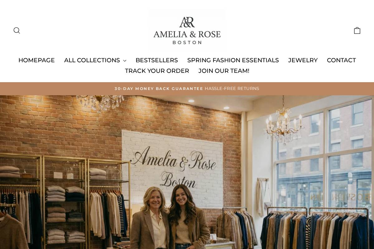 Ameliarose Boston homepage screenshot
