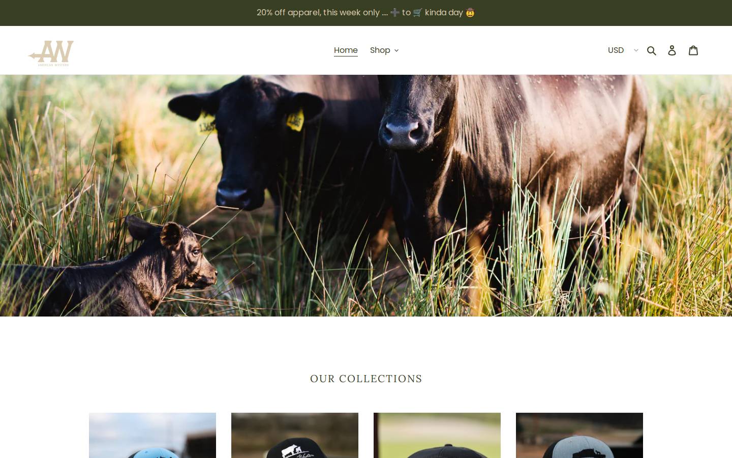 americanwesternco.com homepage screenshot