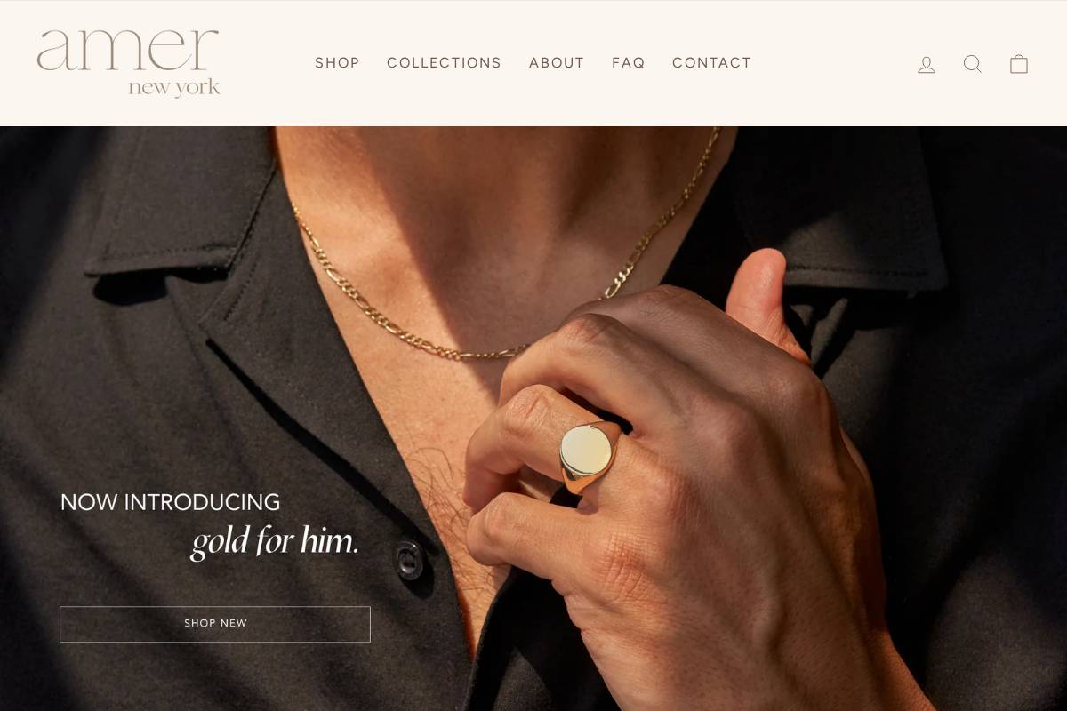 amernewyork.com homepage screenshot