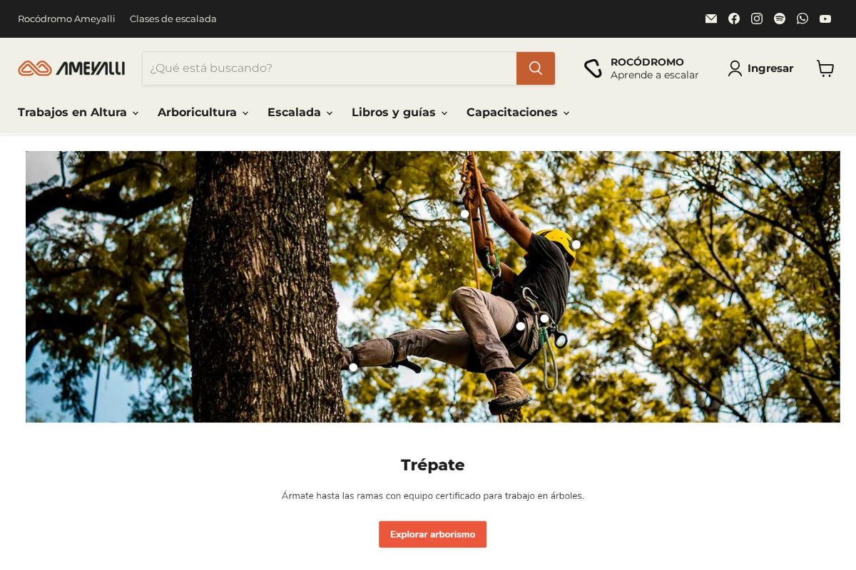 Ameyalli homepage screenshot